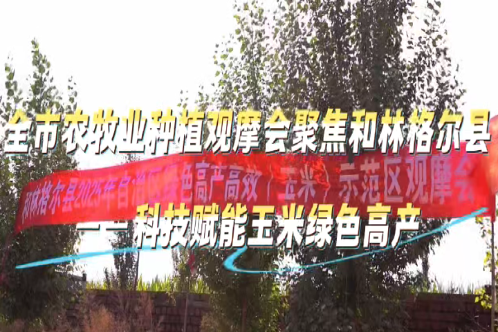 全市農(nóng)牧業(yè)種植觀摩會(huì)聚焦和林格爾縣——科技賦能玉米綠色高產(chǎn)